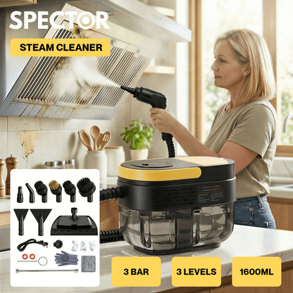 Spector Steam Cleaner High Tempreture Every Corner Complete Cleaning Machine
