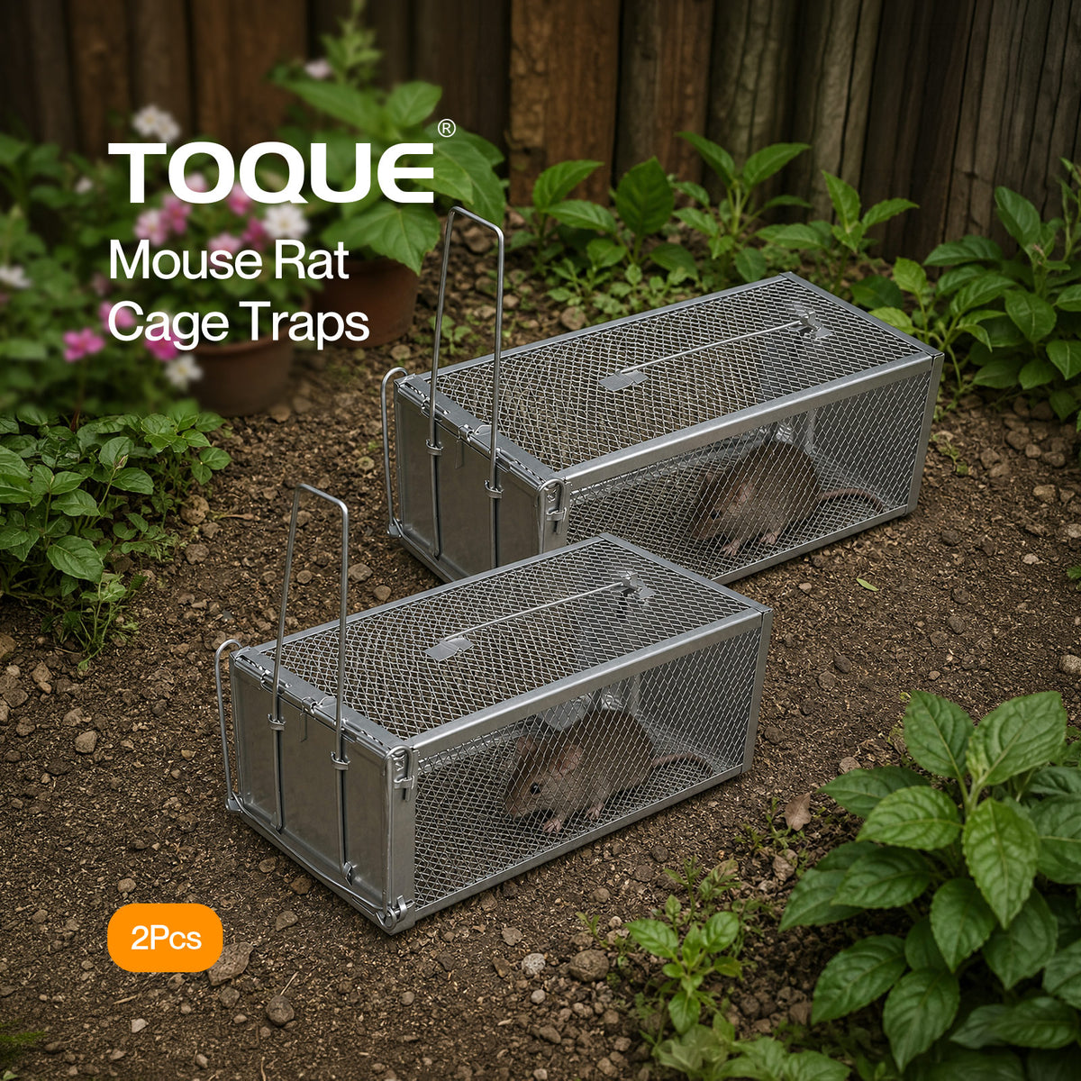 TOQUE Humane Mouse Traps Live Catch Rodent Trap Auto Lock For outdoor Silver 2pc