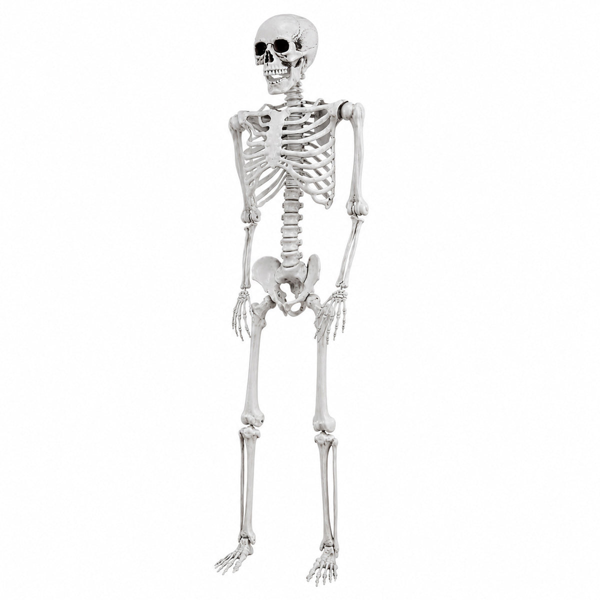 Yezi Halloween Skeleton Life Size 169cm Posable Jointed ABS Spooky Patio White