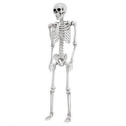 Yezi Halloween Skeleton Life Size 169cm Posable Jointed ABS Spooky Patio White