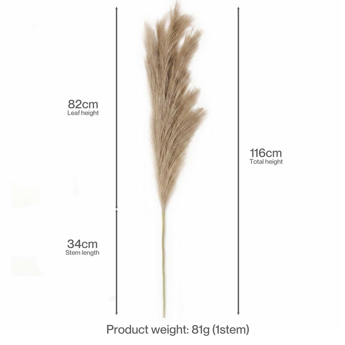 Santaco Pampas Grass Artificial 3Pcs 116cm Handcrafted Faux Silk Vase Brown