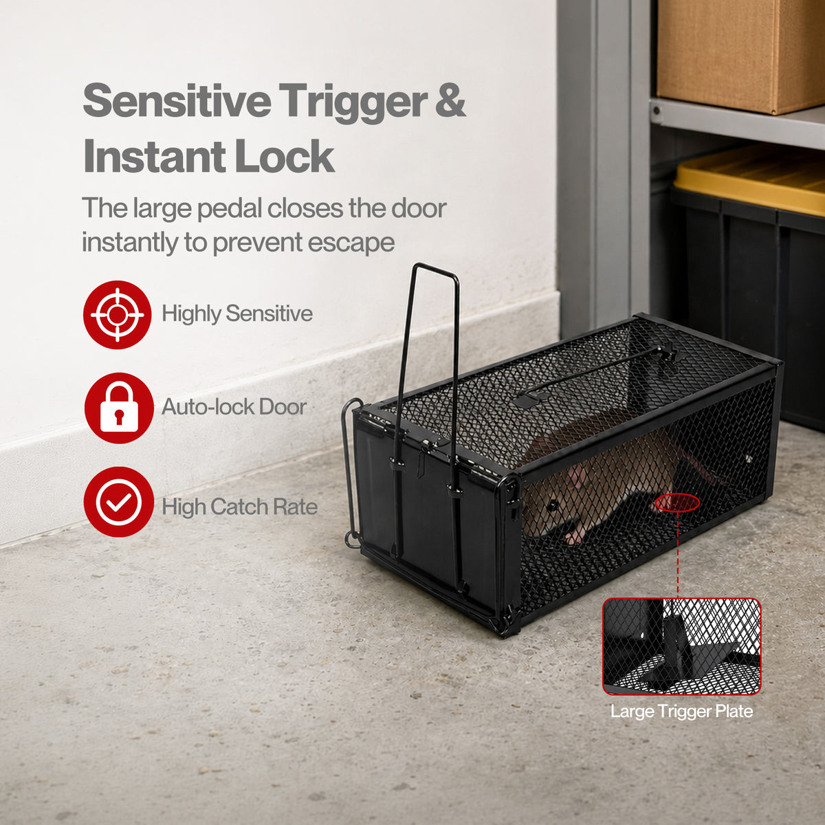 TOQUE Humane Mouse Traps Live Catch Rodent Trap Auto Lock For outdoor Black 2pc