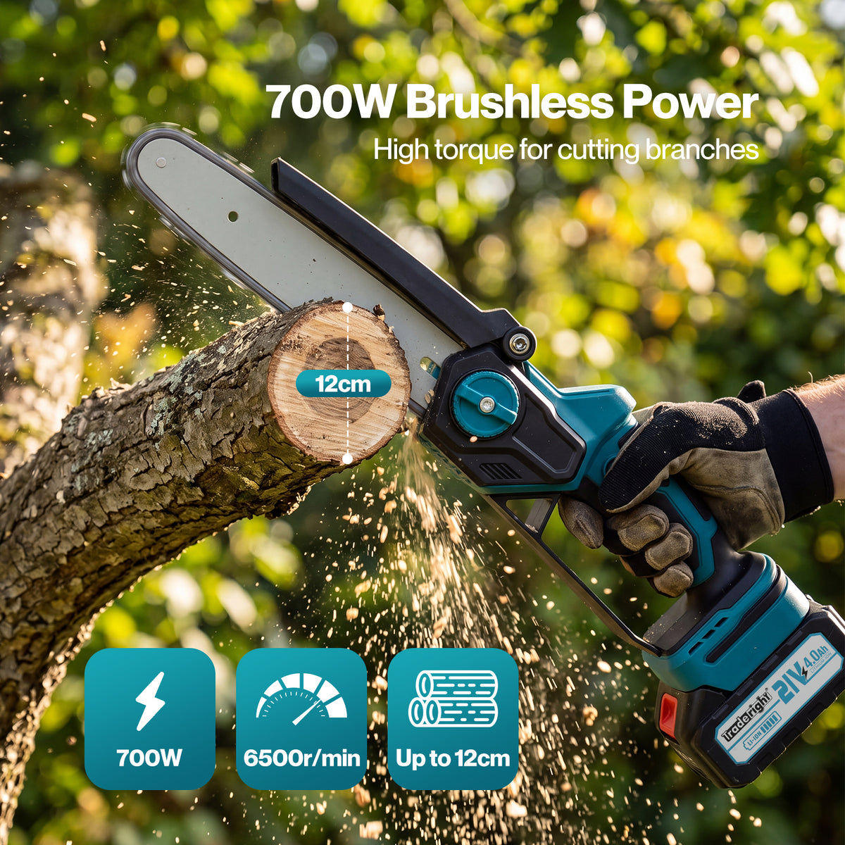 Traderight Mini Chainsaw Pole Saw Brushless 700W 2.49m Adjustable Head Blue