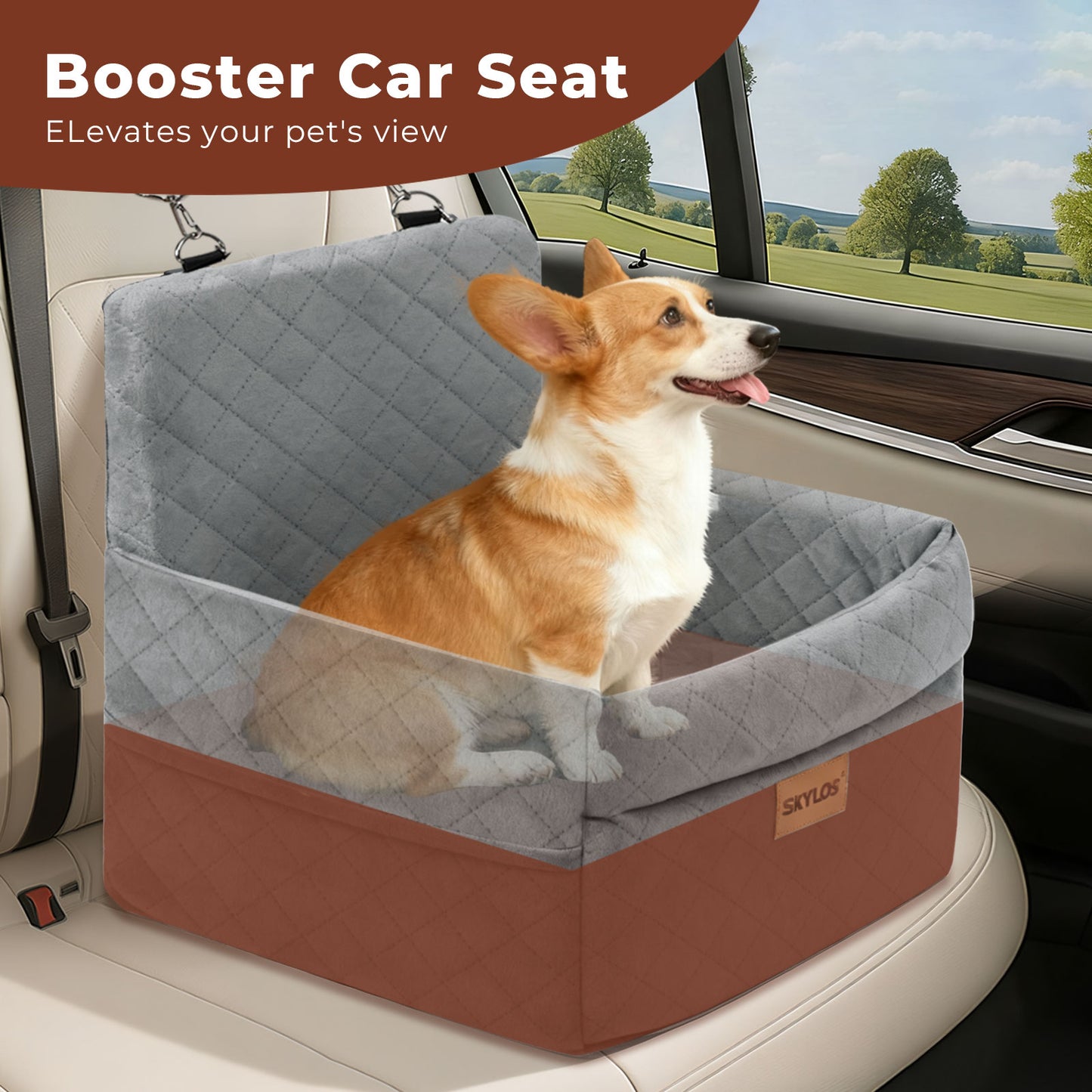 Skylos Dog Car Seat for Small Dogs Cats Cosy Pet Travel Bed with Safety Leash