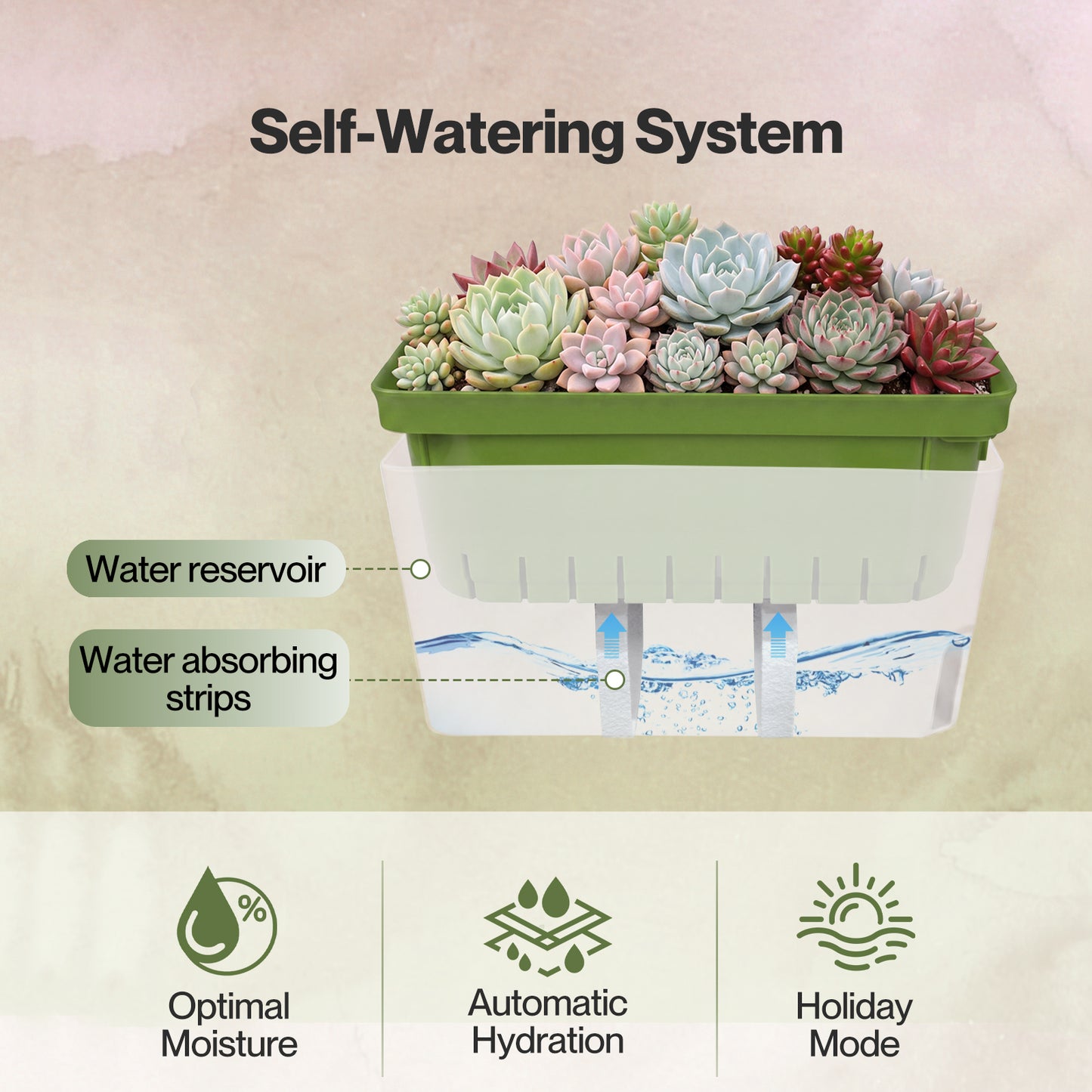 TOQUE 3PCS Self Watering Plant Pots Indoor Herb Planters with Water Level Window