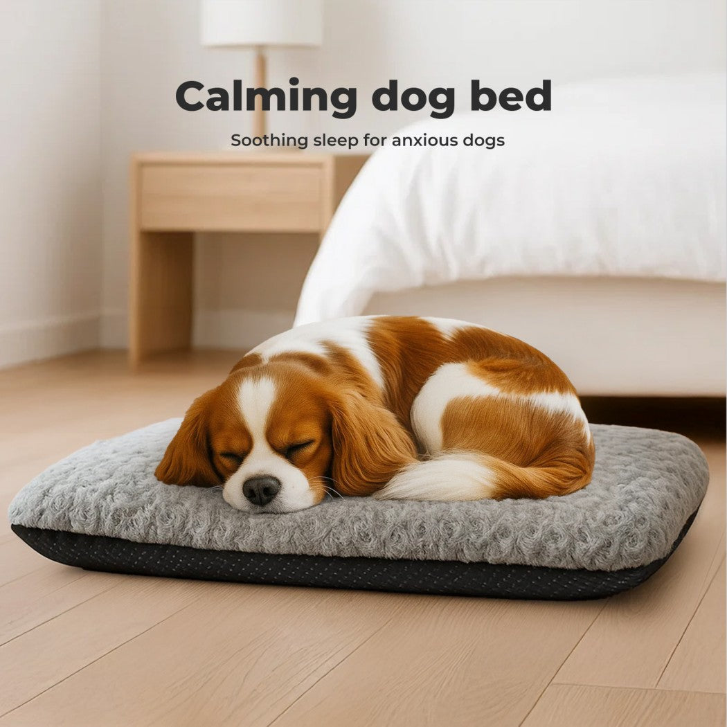 Skylos Pet Bed Cushion Small Dog Calming Bed Waterproof Machine Washable Cover