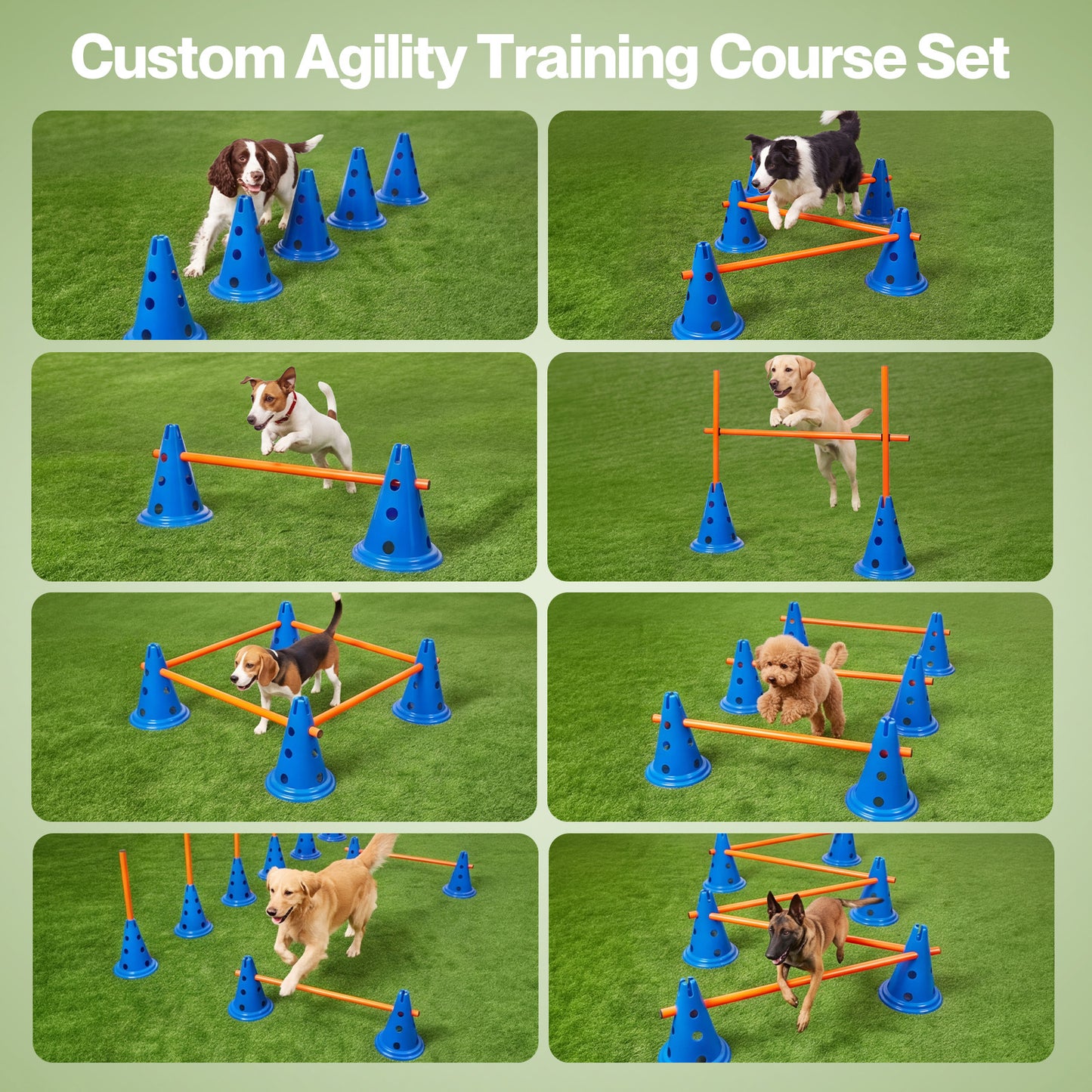 Skylos Dog Agility Training Set Hurdle Cone Kit Height Adjustable Storage Bag