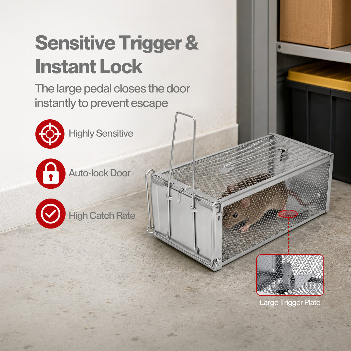 TOQUE Humane Mouse Traps Live Catch Rodent Trap Auto Lock For outdoor 2pc