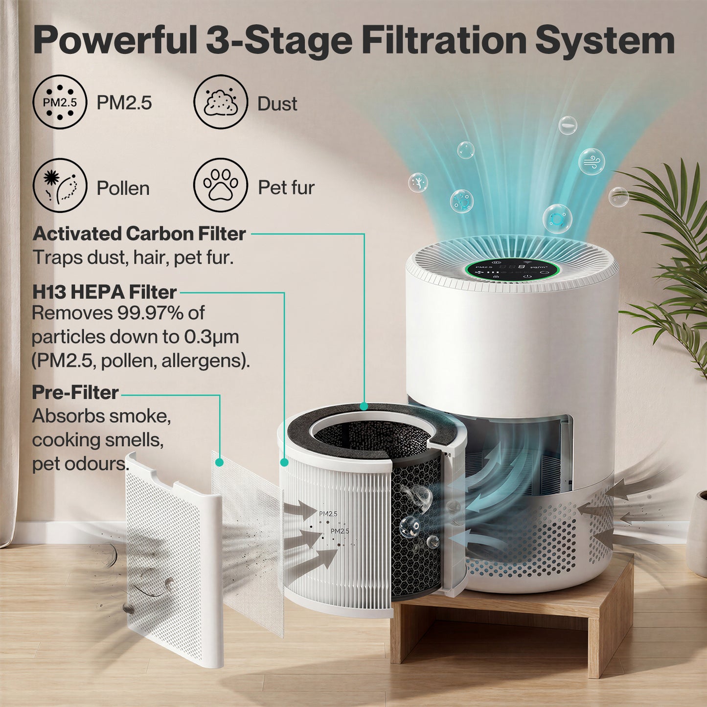 Spector Air Purifier HEPA APP Control Timer Filter Core 3-in-1 High-Efficiency