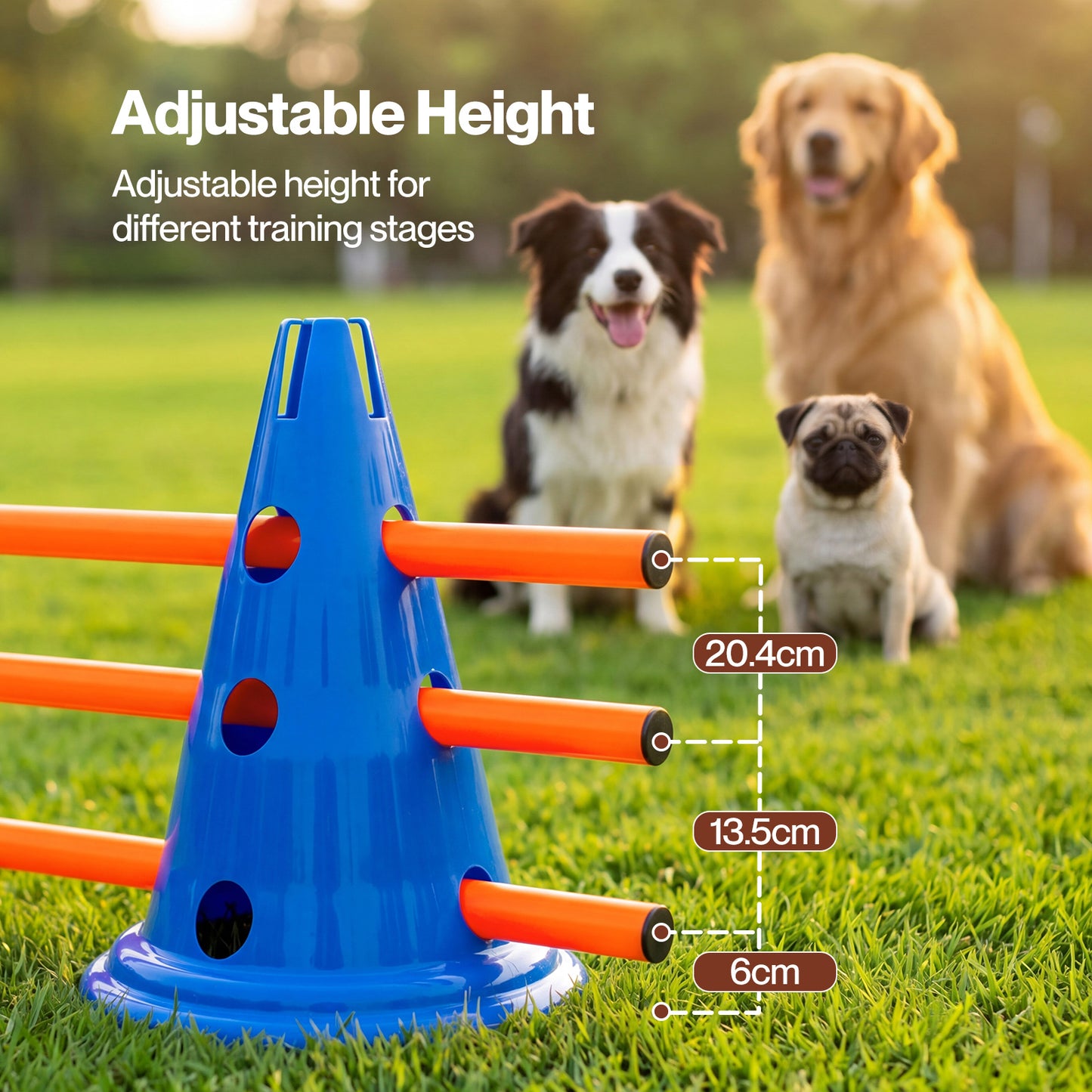 Skylos Dog Agility Training Set Hurdle Cone Kit Height Adjustable Storage Bag