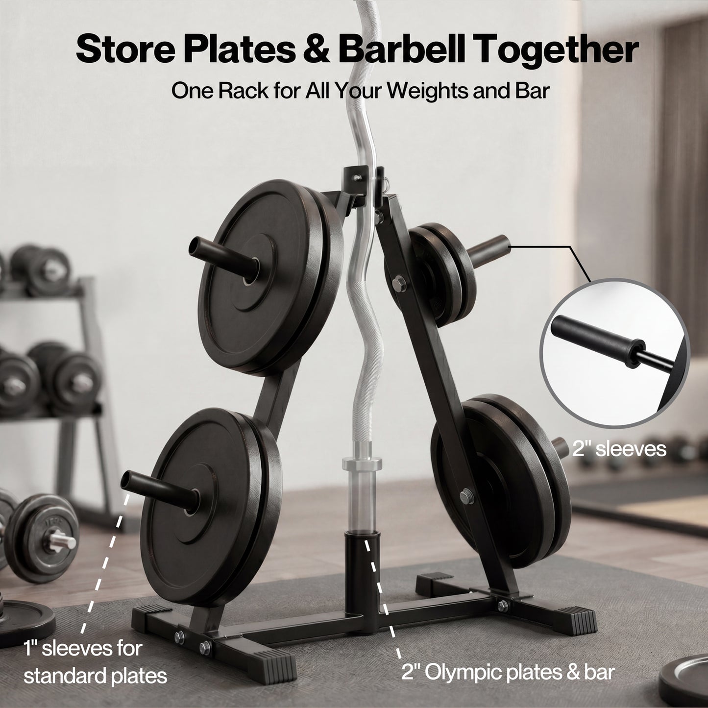 Centra Weight Plate Storage Rack Olympic Plate Holder Gym Weight Stand Tree