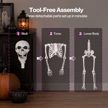 Yezi Halloween Skeleton Life Size Posable Jointed Decoration Haunted House White