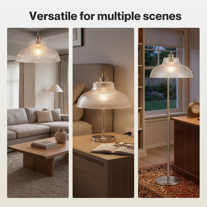Emitto Ceiling Light Shade Pendant Glass Lamp Bistro Adjustable Clear Color