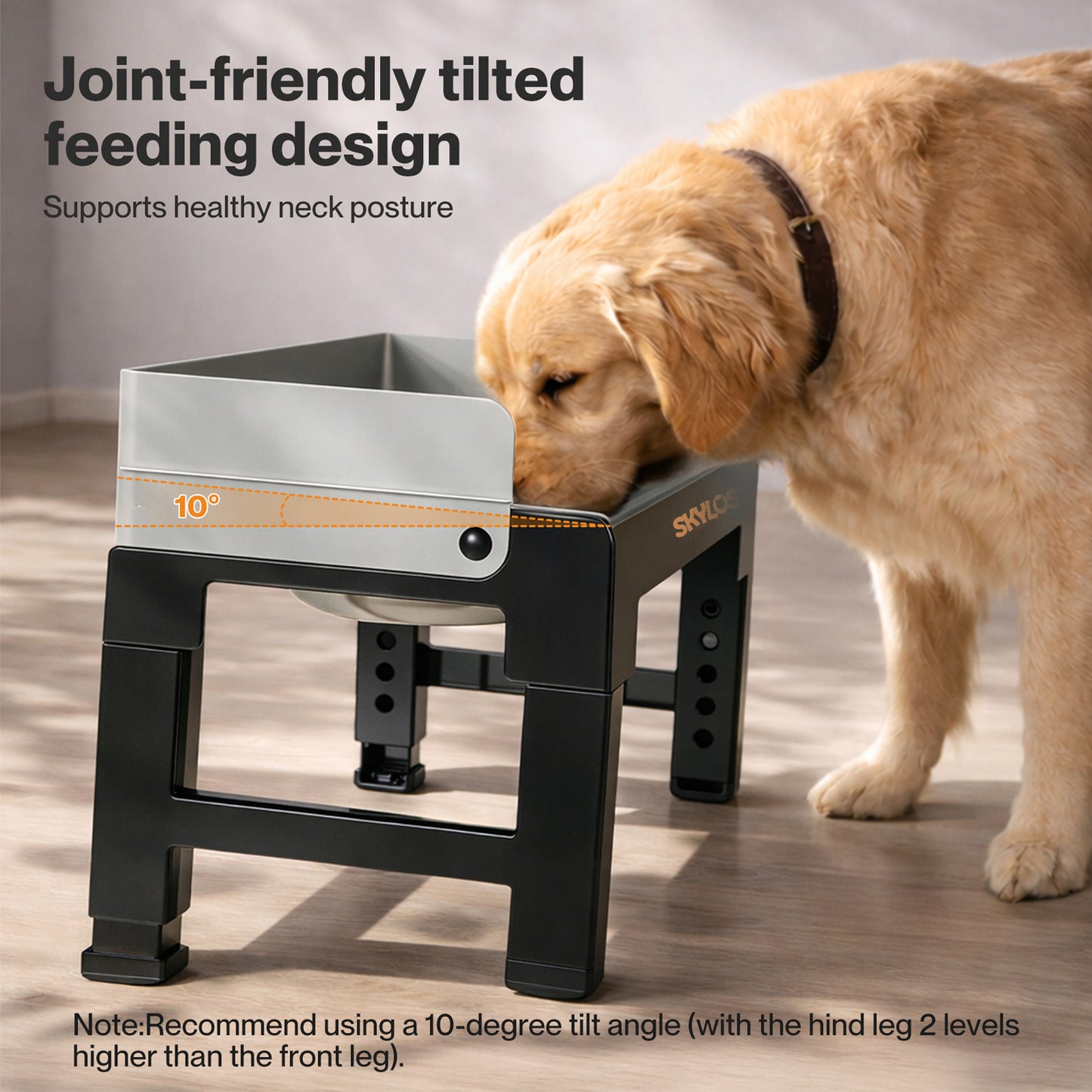 Skylos Raised Dog Bowls Elevated Pet Feeder 6 Height Slow Food Water Feeding