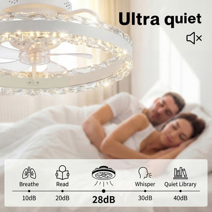 Emitto Ceiling Fan Light Modern LED Flush Mount Lamp 6 Speed Lamp Black White