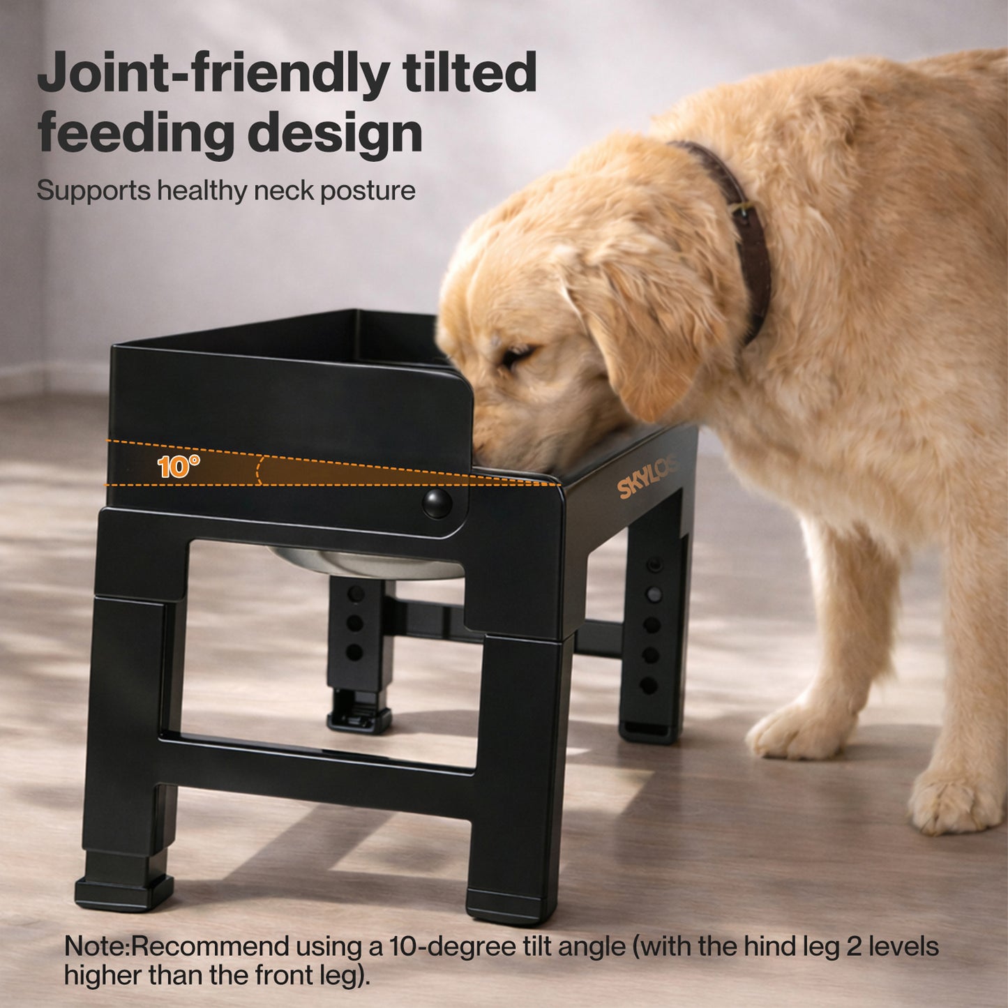 Skylos Elevated Pet Feeder Double Raised Dog Bowls 6 Height Food Water Feeding