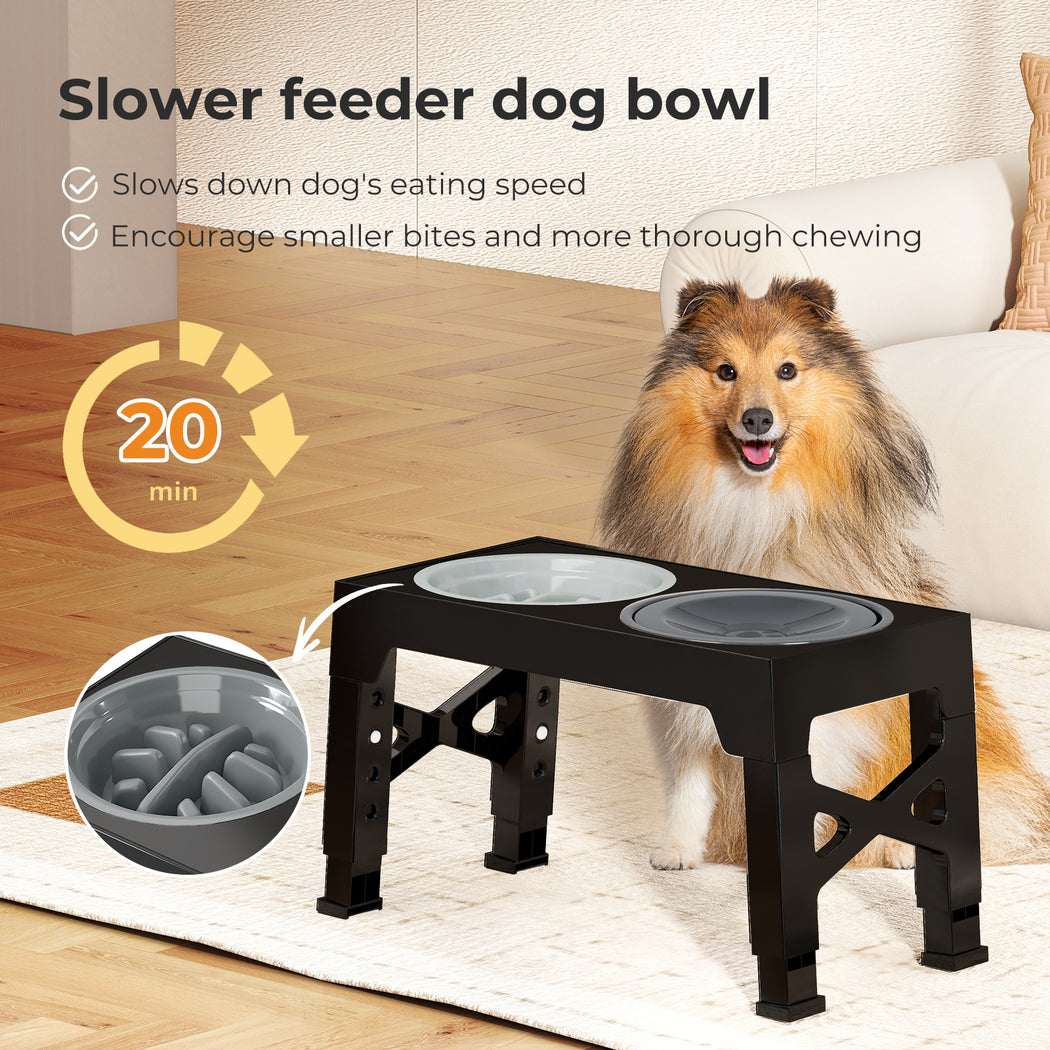 Skylos Elevated Pet Feeder Raised Dog Food Water Feeding Bowl Adjustable Folding