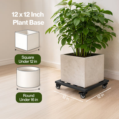 Toque Plant Caddy with Wheels Heavy Duty Rolling Plant Stand Trolley 2PCS